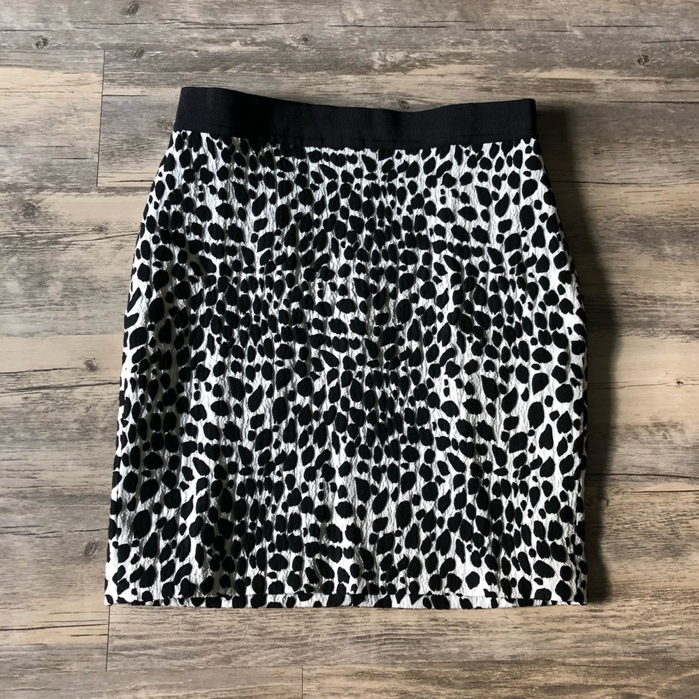 Ann Taylor Skirt